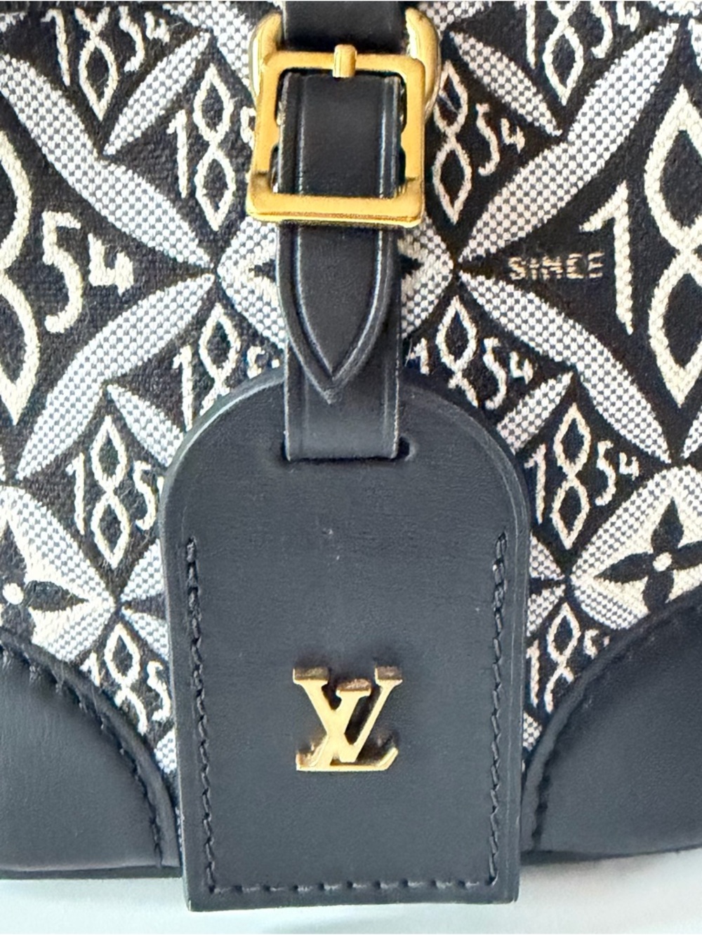 Louis Vuitton Noe Mini Since 1854 Jacquard Bucket Crossbody Bag - Picture 5 of 13